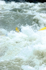 Raft 08 